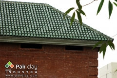 6 green-glazed-clay-khaprail-roof-tiles-Pictures-images-2