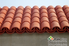13-red-tiles-roof-home-designs-ideas-pictures-remodel-and-decor-11