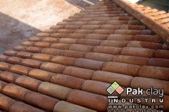16-clay-roof-tiles-house-garden-construction-and-real-estate-materials-suppliers-wholesale-projects