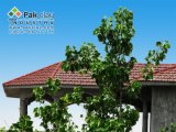 10-new-house-roof-tiles-products-styles-designs-ideas-pictures-gallery-images-photos