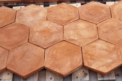 10 hexagon-terracotta-tile-home-design-ideas-pictures-textures-pattern-(7)