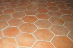 hexagon-terracotta-tile-top-quality-wall-and-floor-tiles-products (11)