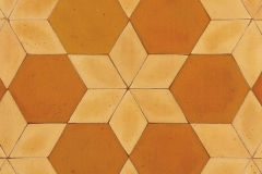 hexagon-tile-different-shaped-terracotta-floor-tiles-pattern-variety-picture-(37)