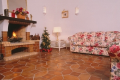 13 picket-and-square-8x8-living-room-terracotta-floor-tiles-design-galleries-textures-styles-pattern-variety-pictures