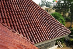 14-house-designs-glazed-tiles-khaprail-sloping-roofing-tiles-designs-ideas-pictures