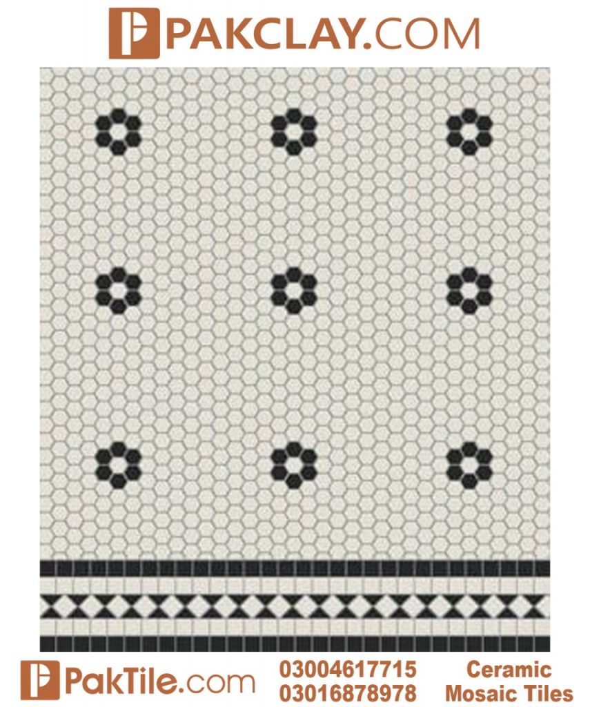 White and Black Hexagon Mosaic Floor Tiles Design