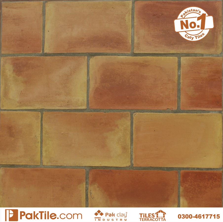 Buy Brick Tiles Pattern Shop in Lahore Porcelain Effect Colourful Range of Feature and Border Wall Tiles Patterns Ideas Pakistan Images