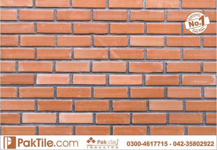 3 Natural red brick tiles in islamabad