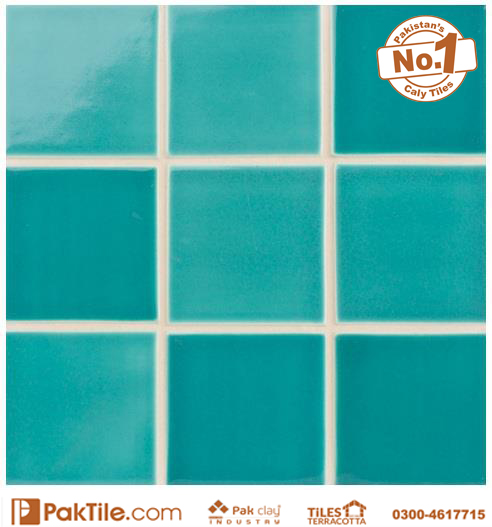 1 Pak Clay Swimming Pool Tiles in Pakistan