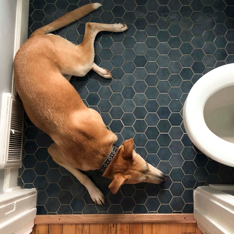 2 Bathroom Floor Tiles Textures in Pakistan