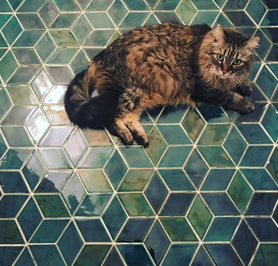 Ceramic mosaic glazed floor tiles in peshawar