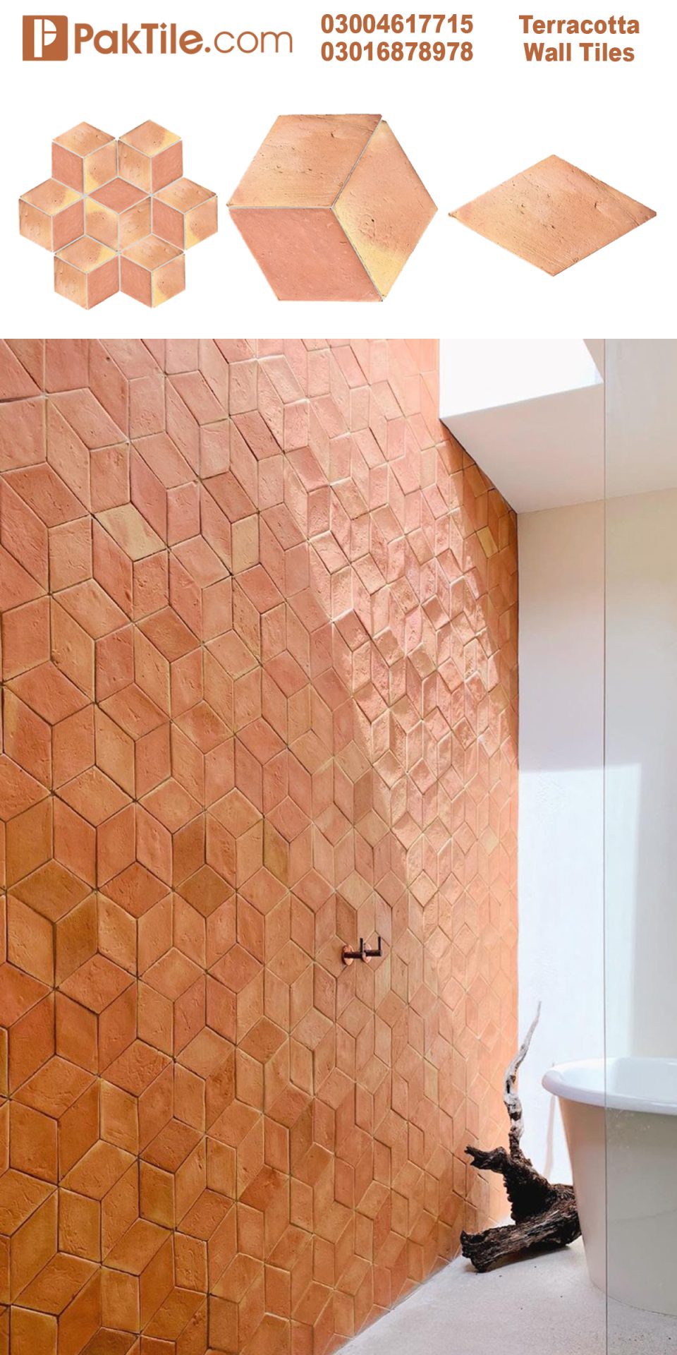 Pak Clay Terracotta Wall Tiles Design in Pakistan