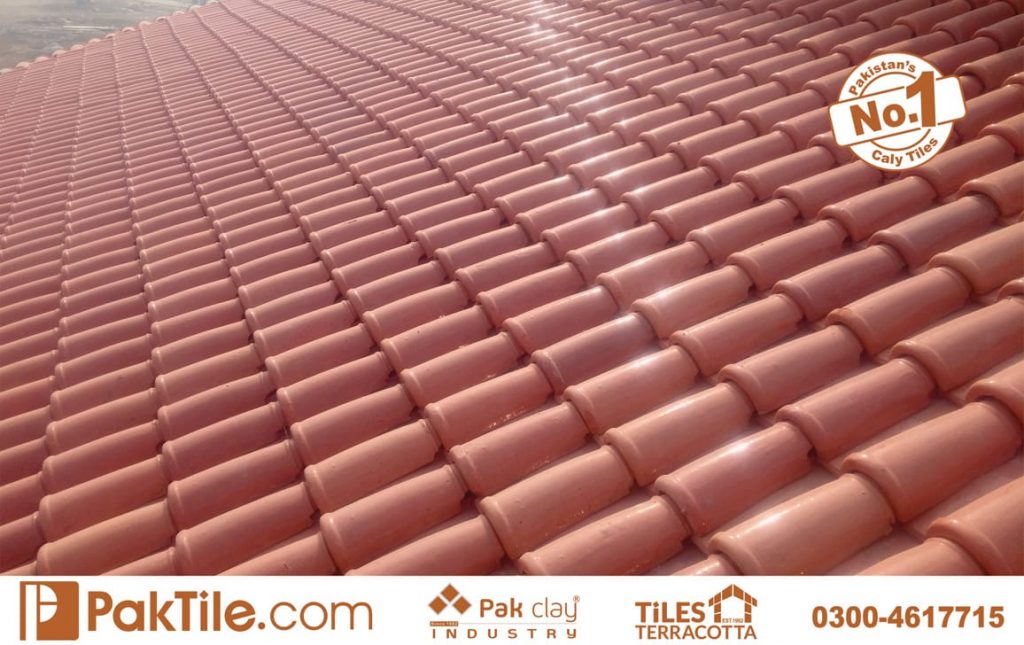 Modern khaprail tiles design house