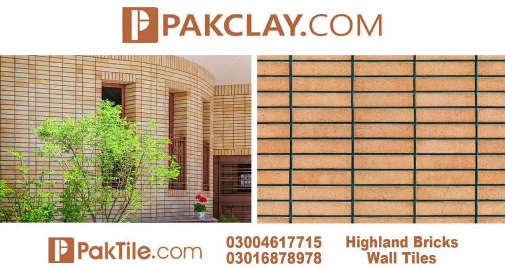 House front tiles design picture