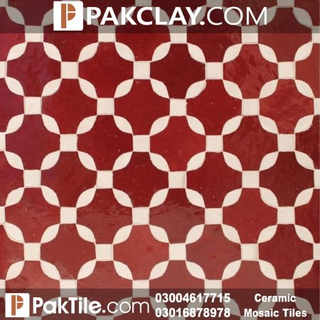 Pak Clay Moroccan Mosaic Tile Design