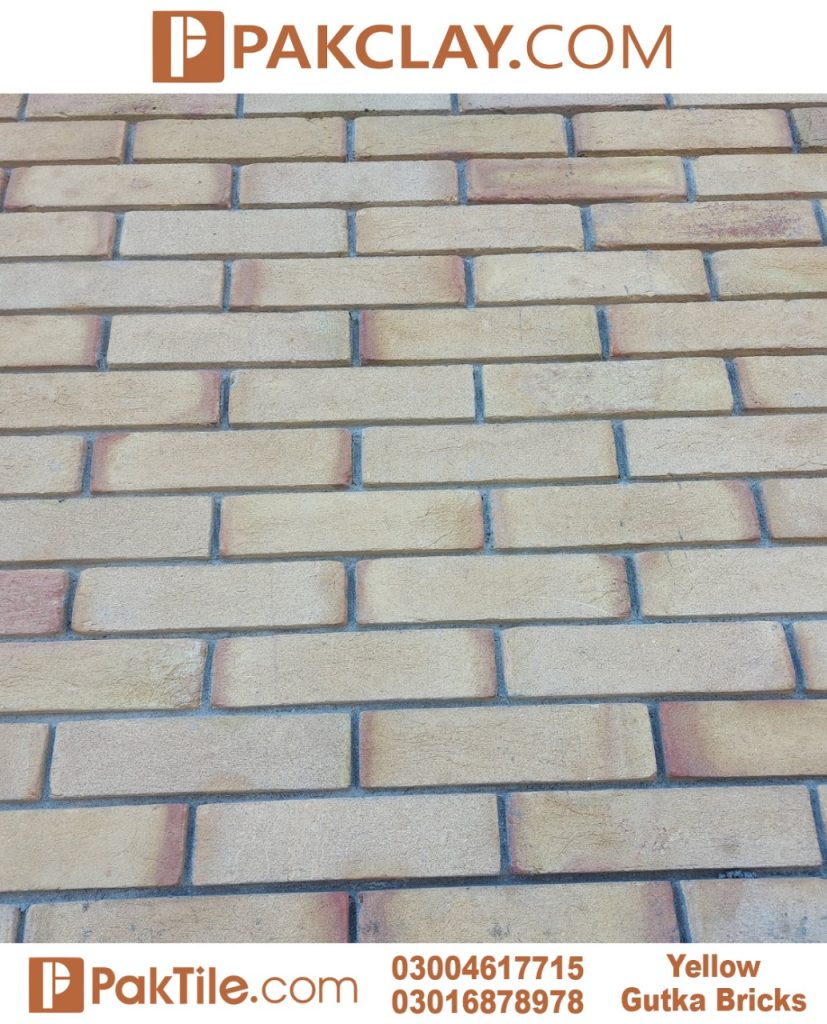 Bricks Flooring Tiles Design