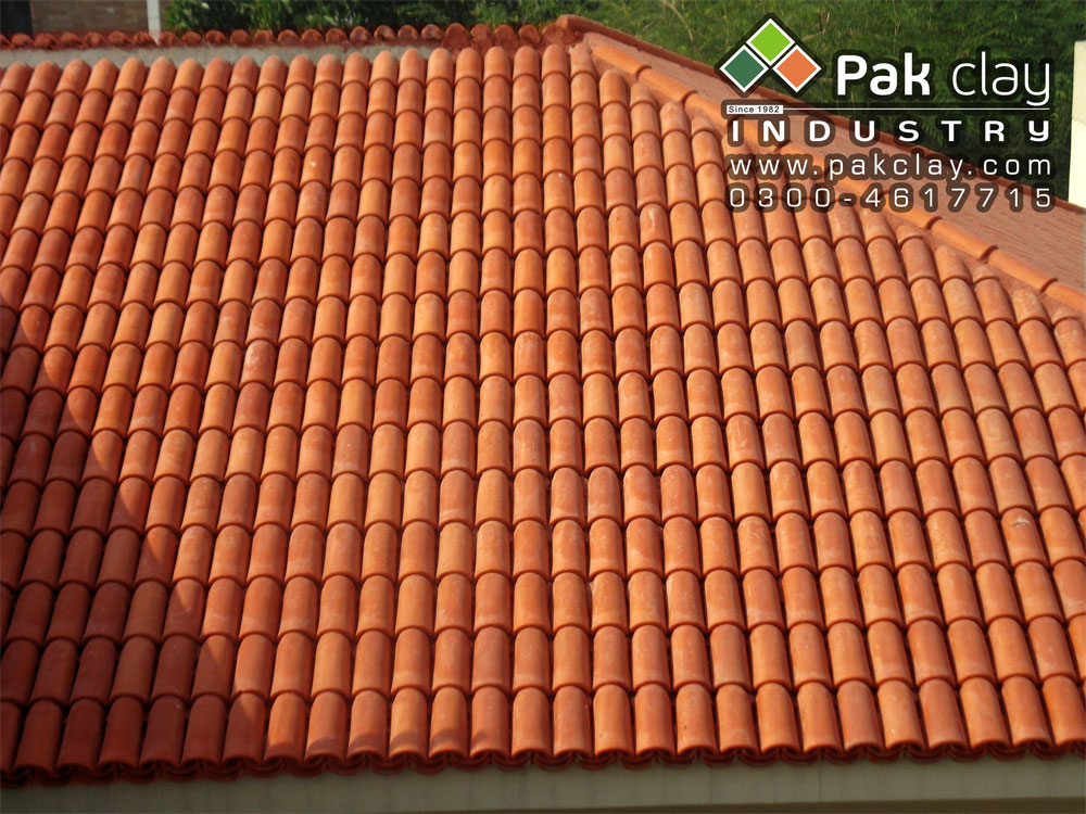 10-red-bricks-clay-roofing-tiles-images-pictures-photos-9